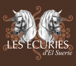 Logo el suerte