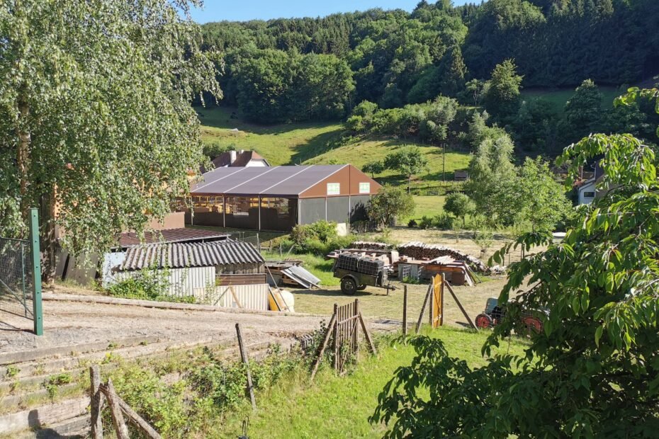 Scierie-Lejeune-57410-couverture-20x20-novembre-2019-vue-eloignee-fini